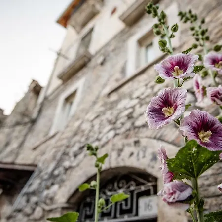 Lavistadeisogni Muranuove Celano