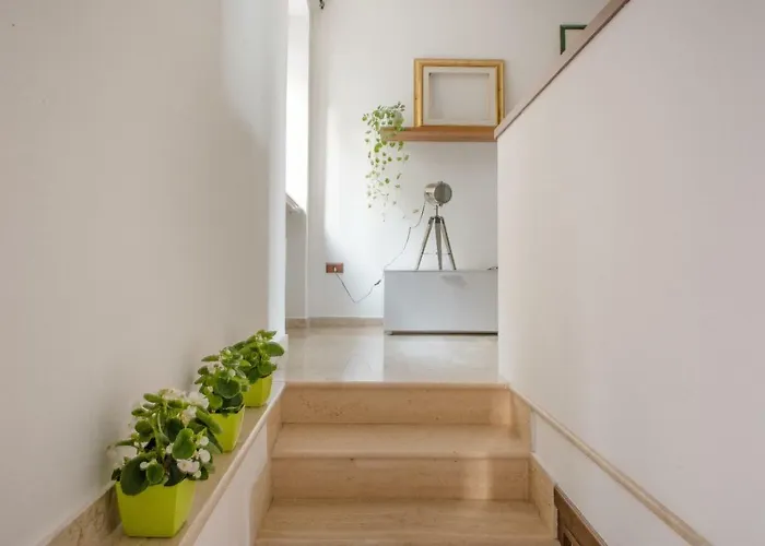 Lavistadeisogni Muranuove *